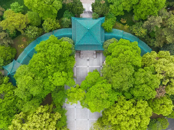 Wuhan, Hubei 'deki Doğu Gölü Sahne Bölgesi Bahar Manzarası