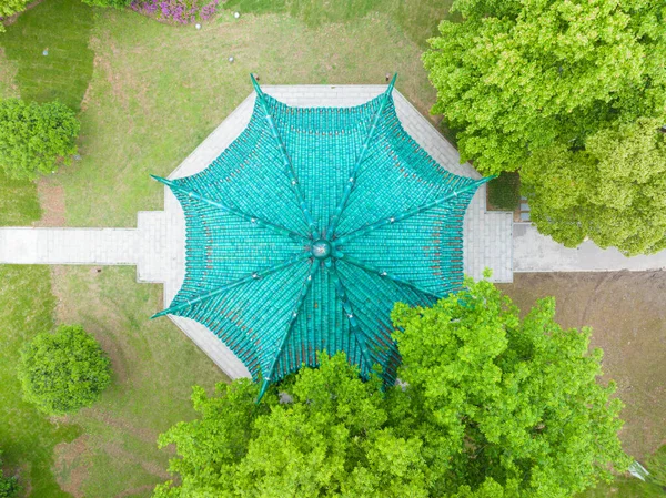 Wuhan, Hubei 'deki Doğu Gölü Sahne Bölgesi Bahar Manzarası