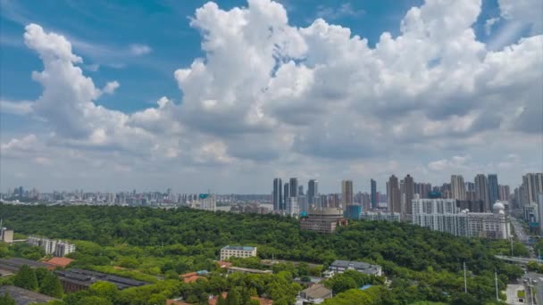 Aerial Photography Scenery Wuhan City Skyline Summer — Vídeo de stock