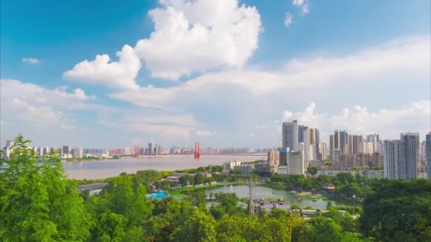 Scenery Wuhan City Skyline Summer — Vídeo de stock