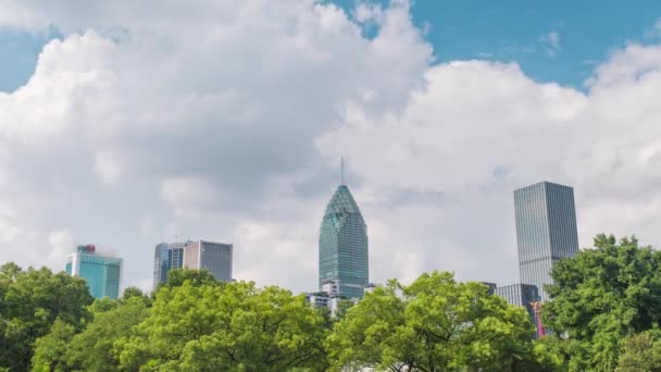 Scenery Wuhan City Skyline Summer — Vídeos de Stock