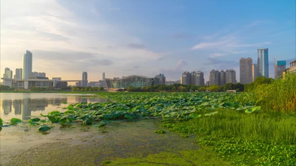 Τοπίο Της Πόλης Wuhan Ορίζοντα Καλοκαίρι — Αρχείο Βίντεο