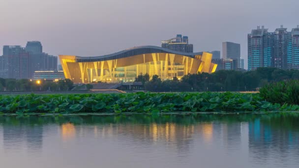 Wuhan City Skyline Night Scenery — Video