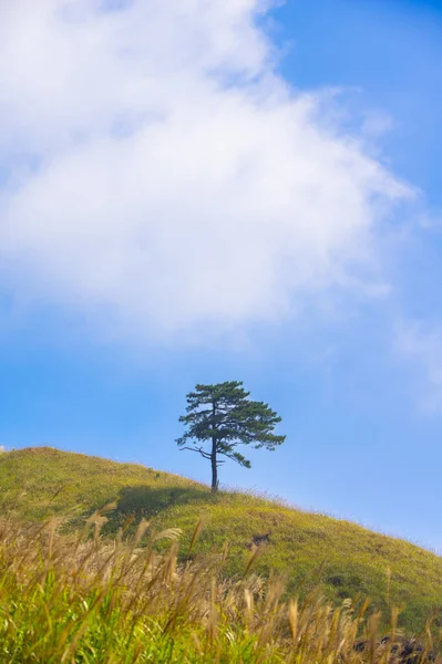 Paesaggio Inizio Autunno Wugong Mountain Natural Scenic Area Pingxiang Jiangxi — Foto Stock