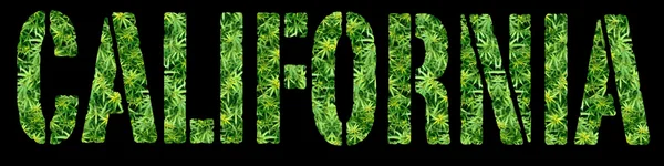 Marihuana w Kalifornii — Zdjęcie stockowe