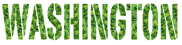 Marihuana washington — Stock fotografie
