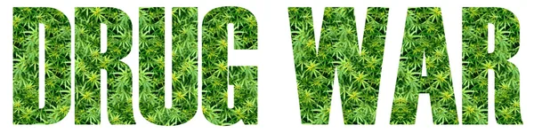 Marihuana narkotyki wojny — Zdjęcie stockowe