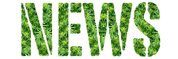 Marihuana nieuws — Stockfoto