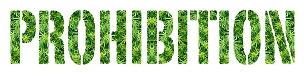 Marijuana New Jersey — Stock Photo, Image