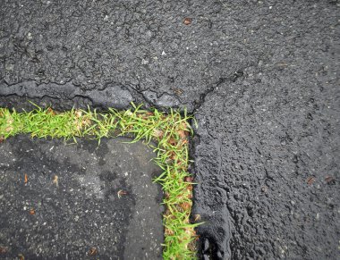 kentsel kir arka plan