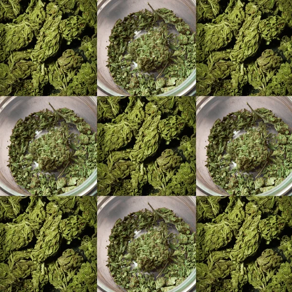 Contexto da marijuana medicinal — Fotografia de Stock