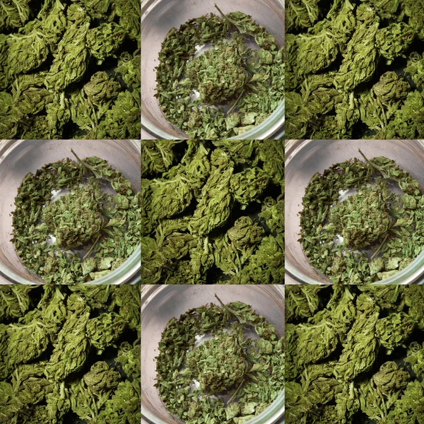 Medicinsk marijuana bakgrund — Stockfoto