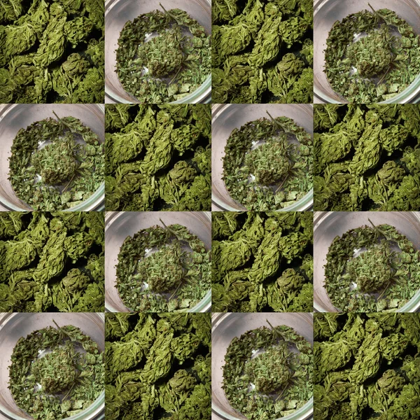 Medische marihuana achtergrond — Stockfoto