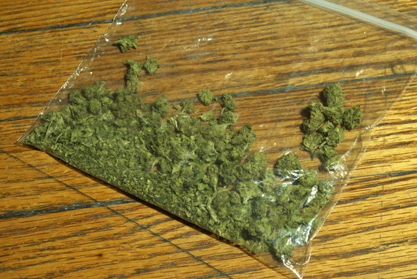 Marijuana — Photo