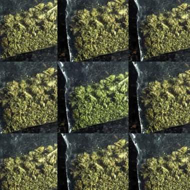 tıbbi marihuana arka plan