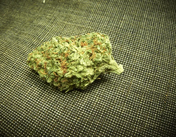 Marijuana — Foto Stock