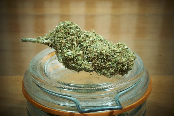 Marijuana — Photo