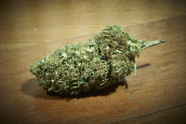 Marihuana — Stock fotografie