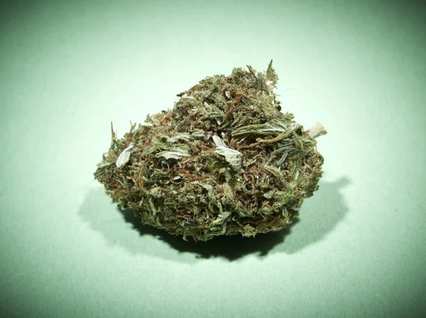 Marijuana — Stock Photo, Image