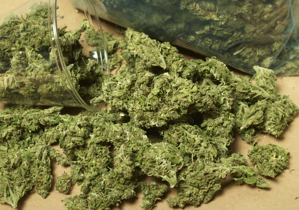 Marijuana — Photo