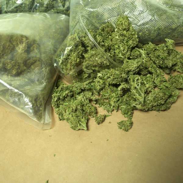 Marihuana — Stockfoto