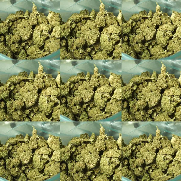 Marihuana — Foto de Stock