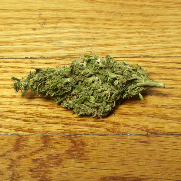 Marihuana — Stockfoto