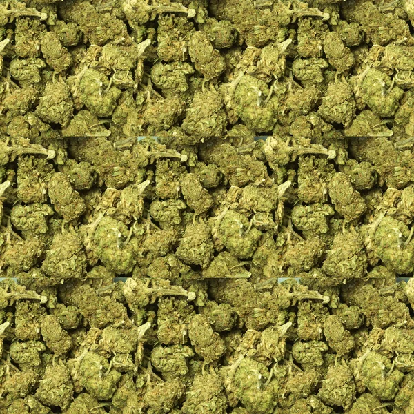 Marihuana — Stockfoto