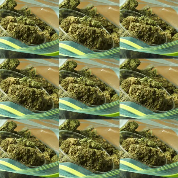 Marihuana — Foto de Stock