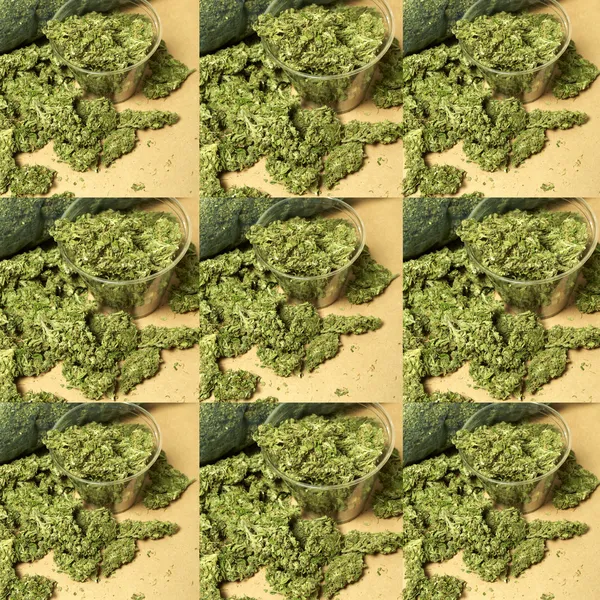 Marijuana — Foto Stock