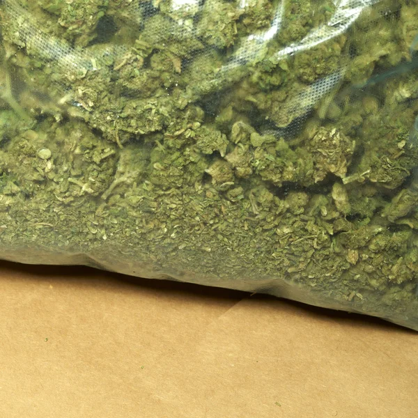 Marijuana — Photo