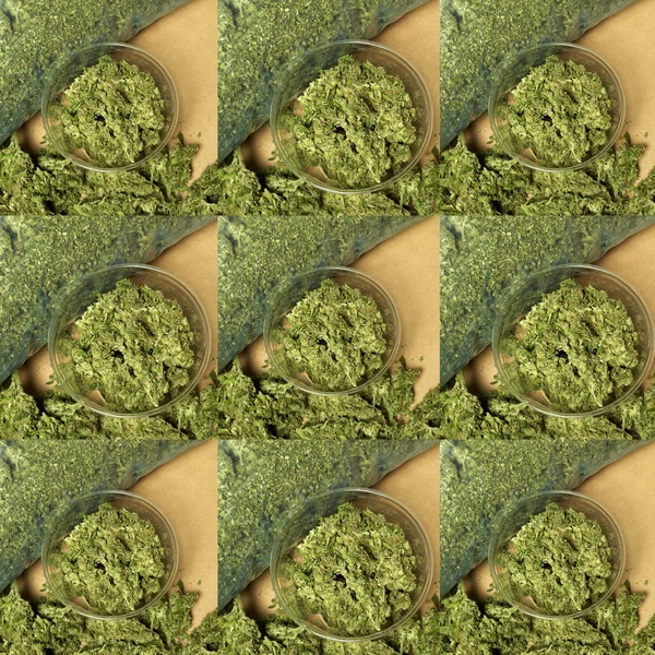 Marihuana — Foto de Stock