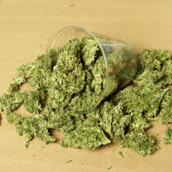 Marihuana — Stockfoto