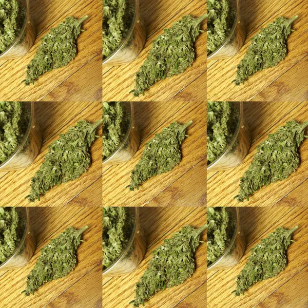 Marihuana — Foto de Stock