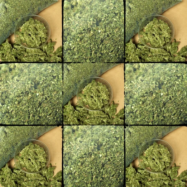 Marihuana — Stockfoto