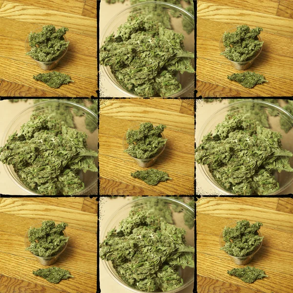 Marihuana —  Fotos de Stock