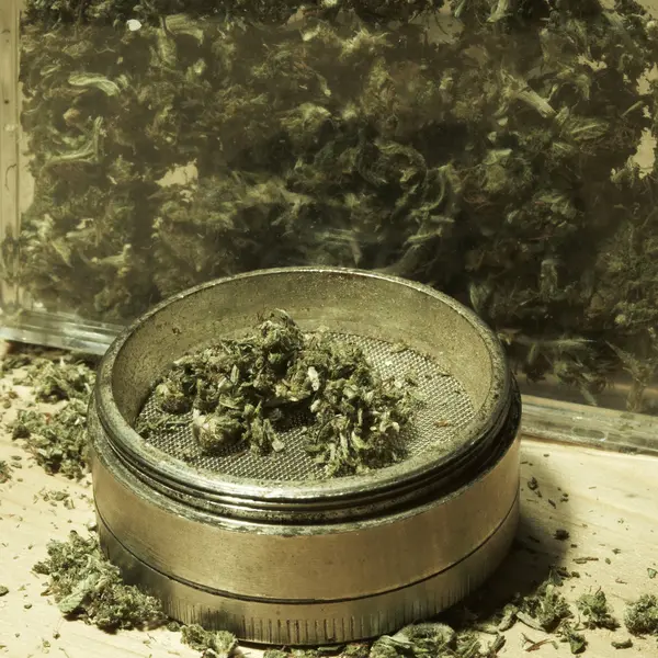 Marijuana — Photo