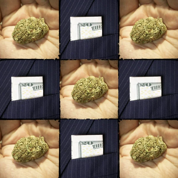 Drogy a peníze, marihuany a měna pozadí — Stock fotografie