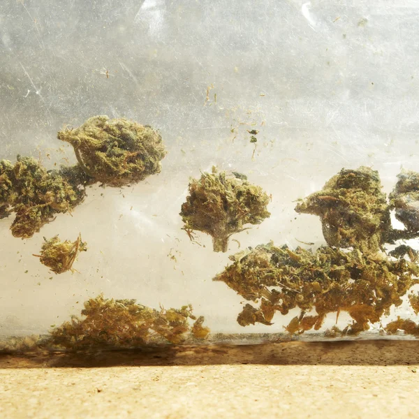 Marihuana — kuvapankkivalokuva