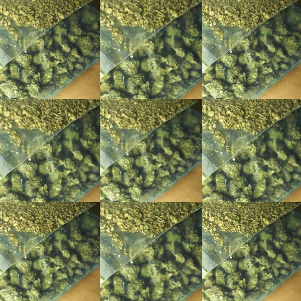 Medische marihuana — Stockfoto