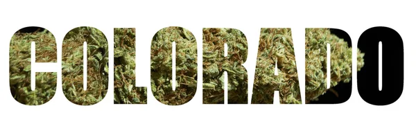 Marihuana – stockfoto