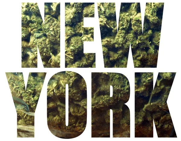 Marijuana medicinal, Nova York — Fotografia de Stock