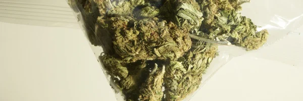 Colorado marijuana — Foto Stock