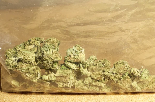 Marijuana — Photo