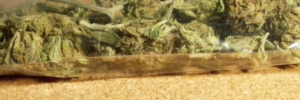 Marihuana Colorado — Foto de Stock