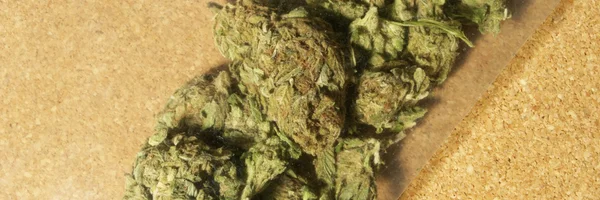 Colorado marijuana — Stockfoto