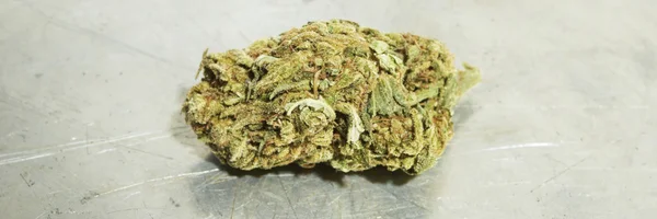Marijuana Colorado — Stock Photo, Image