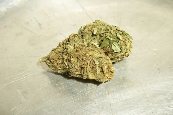 Marihuana Colorado — Stockfoto