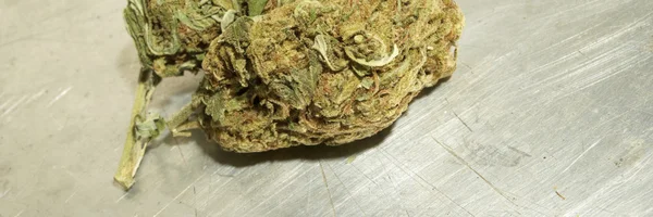 Marihuana colorado — Stock fotografie