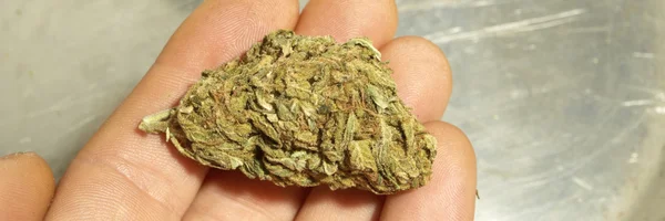 Colorado marijuana — Foto Stock